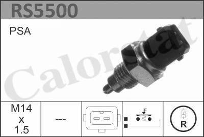 Calorstat by Vernet RS5500