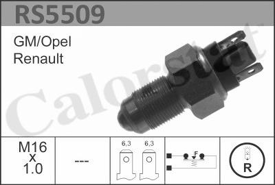 Calorstat by Vernet RS5509 - Auto