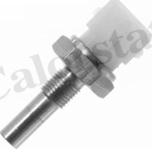 Calorstat by Vernet WS2580
