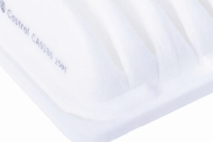 Castrol Filters CA0330 - Gaisa filtrs