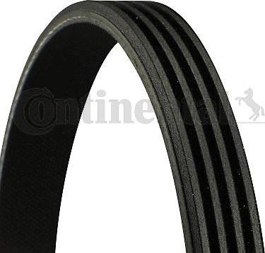 CONTINENTAL 4PK895 - Ķīļrievu siksna