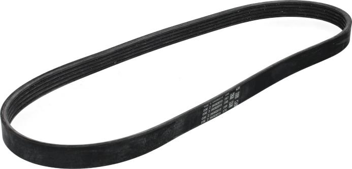 CONTINENTAL 5PK898ELAST - Auto Part