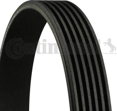 CONTINENTAL 6PK1120EXTRA