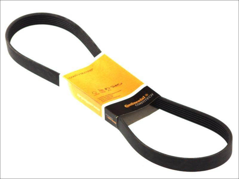 CONTINENTAL 6PK831ELAST - 6PK831 ELAST SIKSNA
