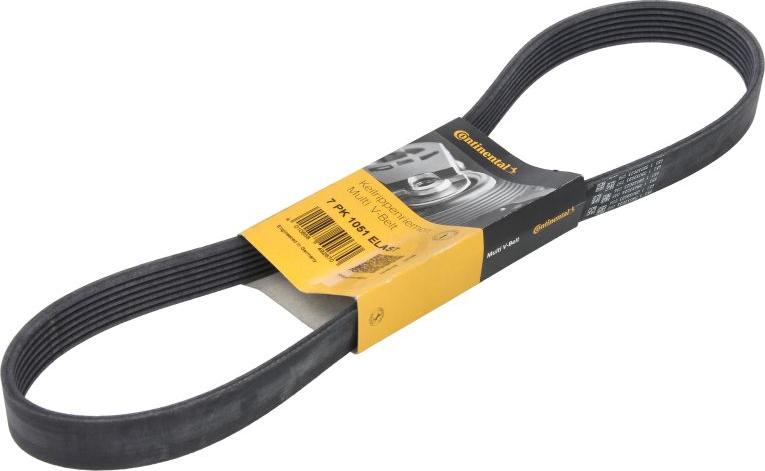CONTINENTAL 7PK1051ELAST - AGREGĀT SIKSNAS KOMPLEKTS