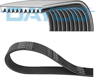 DAYCO 10PK1465HD - Auto Part