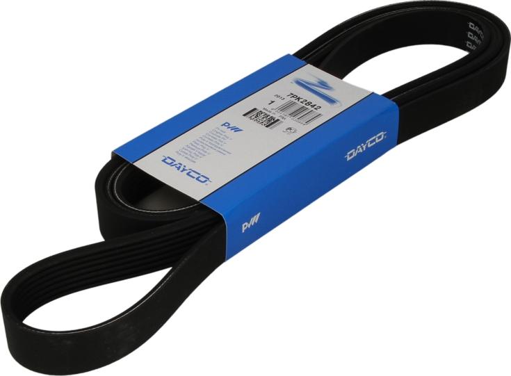 DAYCO 7PK2842