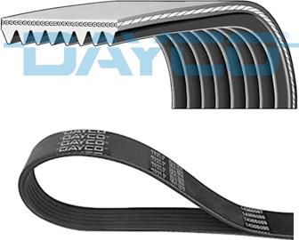 DAYCO 8PK1345HD