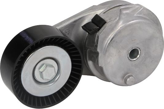 DAYCO APV2959 - APV2959 RULLĪTIS DAYCO