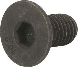Delphi BGK008 - Skrūve, Bremžu disks