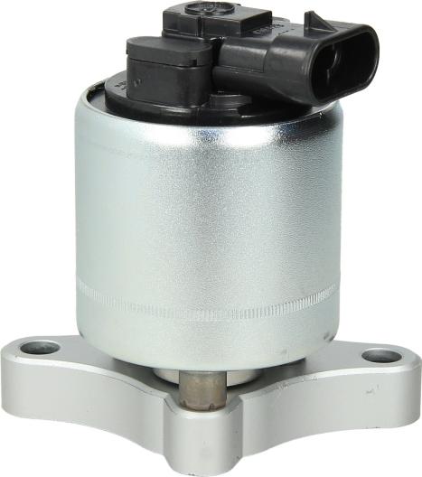 Delphi EG10003-12B1 - EGR VĀRSTS@ EG10003-12B1