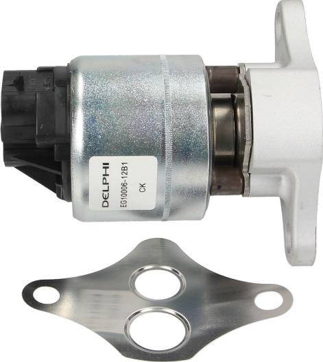 Delphi EG10006-12B1 - EGR VĀRSTS@