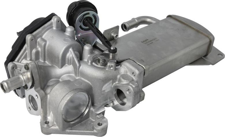Delphi EG10584-12B1 - EGR MODULIS VAG
