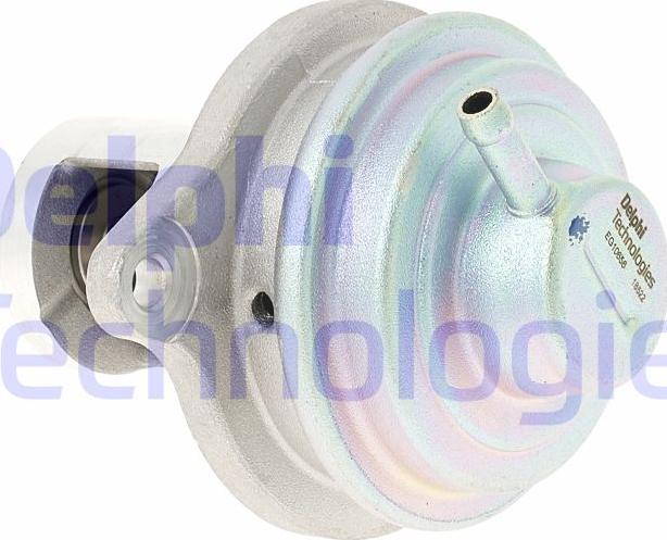 Delphi EG10656-12B1