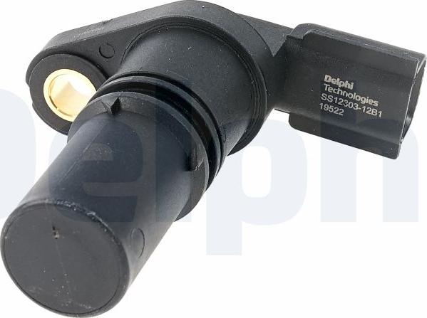 Delphi SS21303-12B1