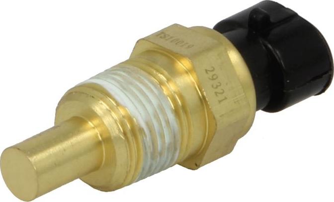Delphi TS10019-11B1