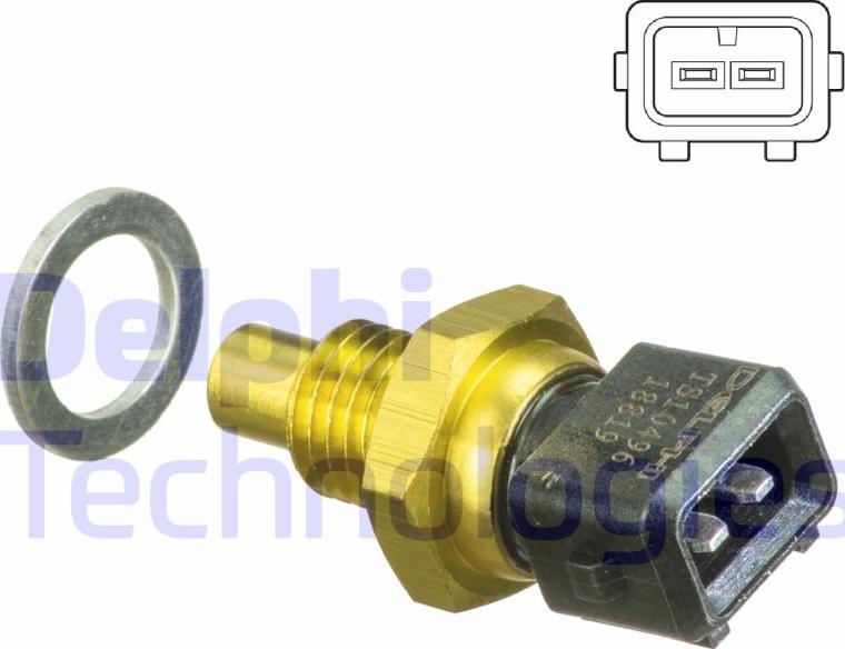 Delphi TS10496