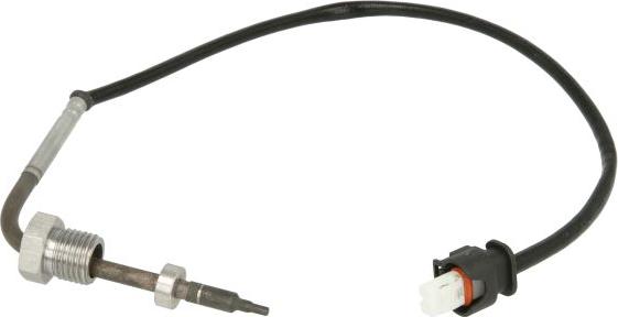 Delphi TS30050