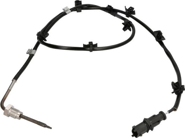 Delphi TS30238