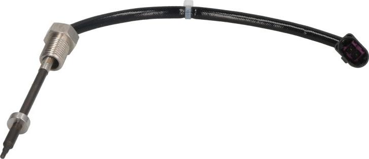 Delphi TS30251