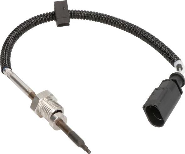 Delphi TS30258