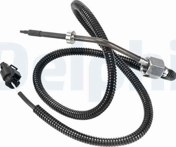 Delphi TS30313-12B1