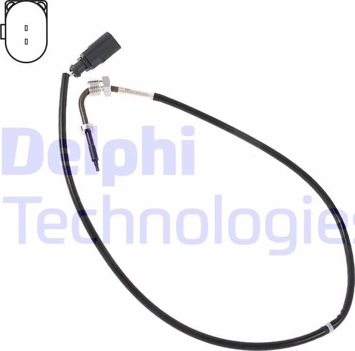 Delphi TS30317-12B1