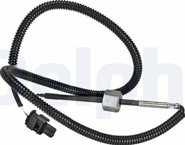 Delphi TS30385-12B1