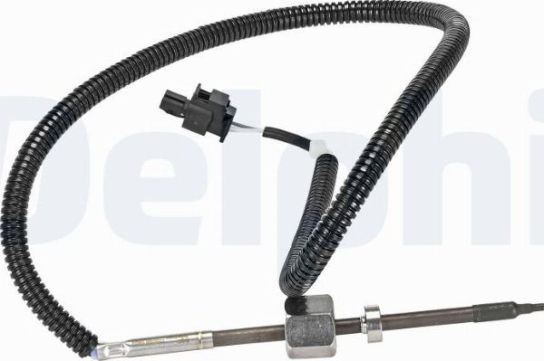 Delphi TS30386-12B1