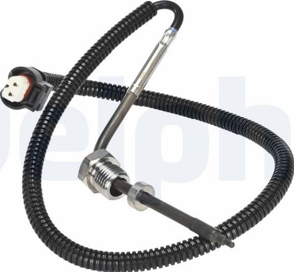 Delphi TS30391-12B1