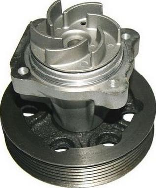 Denckermann A310509P - Ūdenssūknis