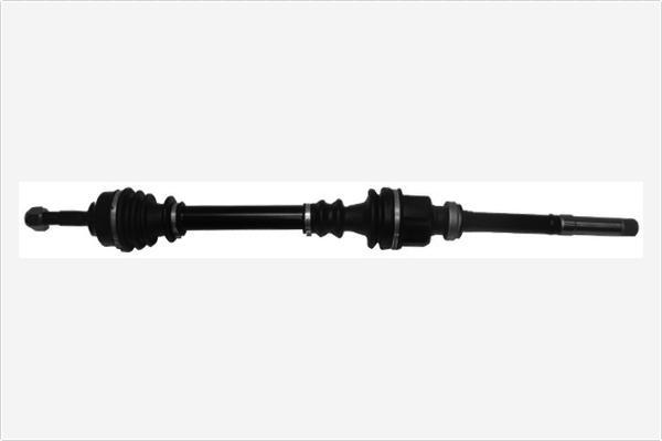 Spidan 22118 - 303470 PUSASS P-1