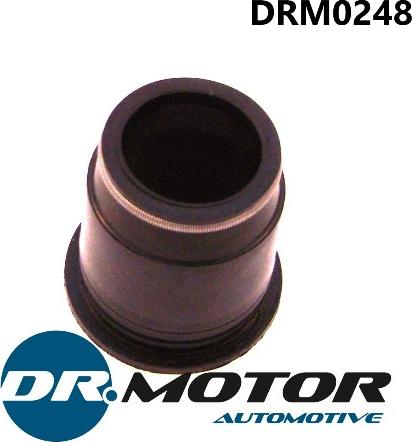 Dr.Motor Automotive DRM0248 - SPRAUSLAS