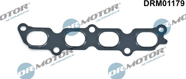 Dr.Motor Automotive DRM01179 - Blīve