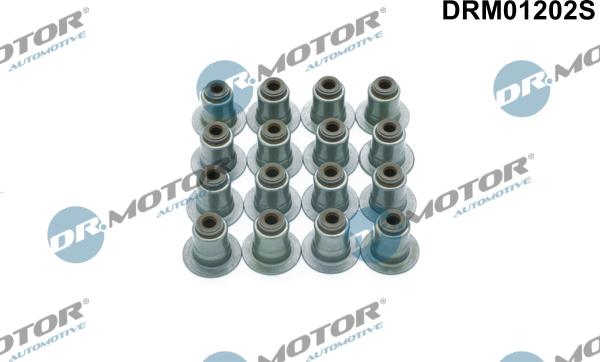 Dr.Motor Automotive DRM01202S