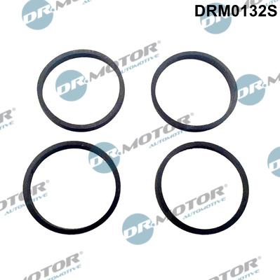 Dr.Motor Automotive DRM0132S - Blīvju