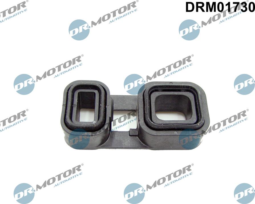 Dr.Motor Automotive DRM01730 - Blīve