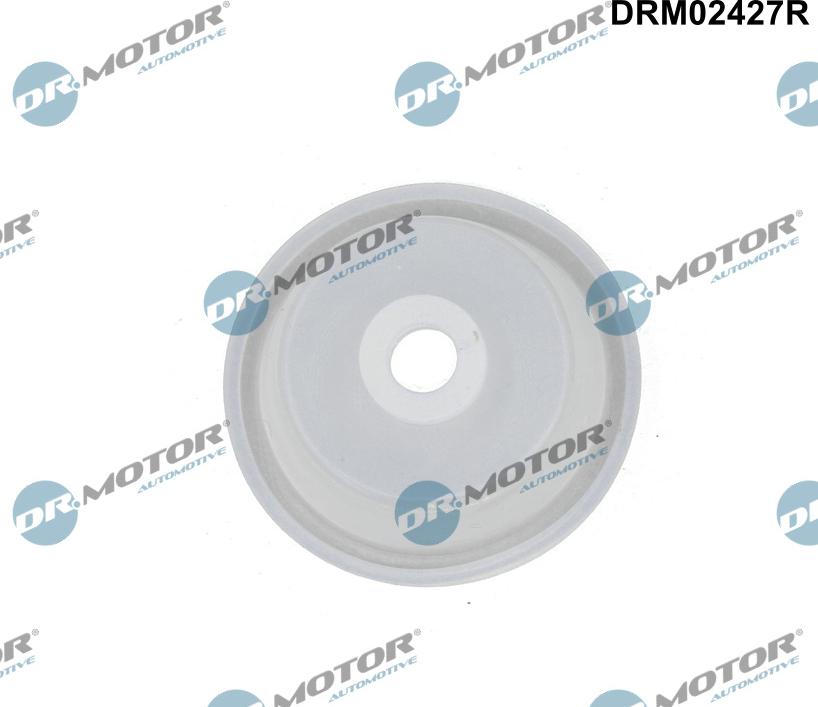 Dr.Motor Automotive DRM02427R - Auto