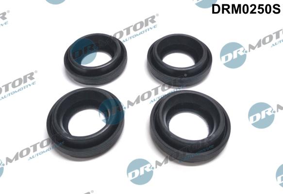 Dr.Motor Automotive DRM0250S - SPRAUSLAS