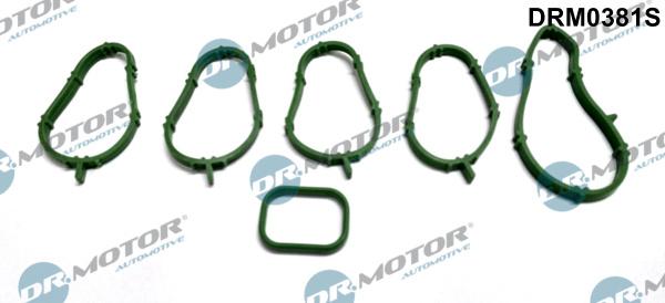 Dr.Motor Automotive DRM0381S - Blīvju
