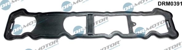 Dr.Motor Automotive DRM0391 - Blīve