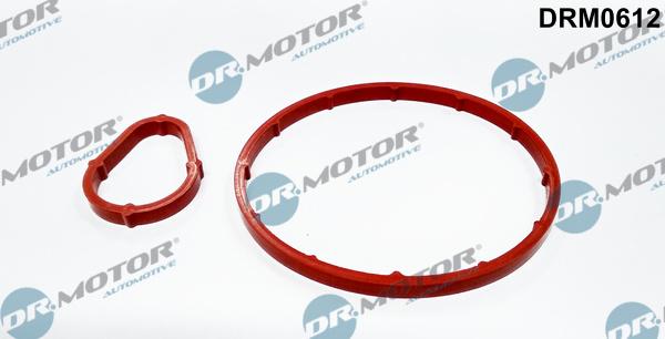 Dr.Motor Automotive DRM0612 - BLĪVJU