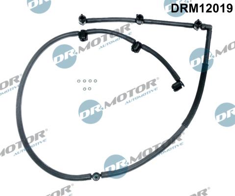 Dr.Motor Automotive DRM12019 - DEGVIELAS