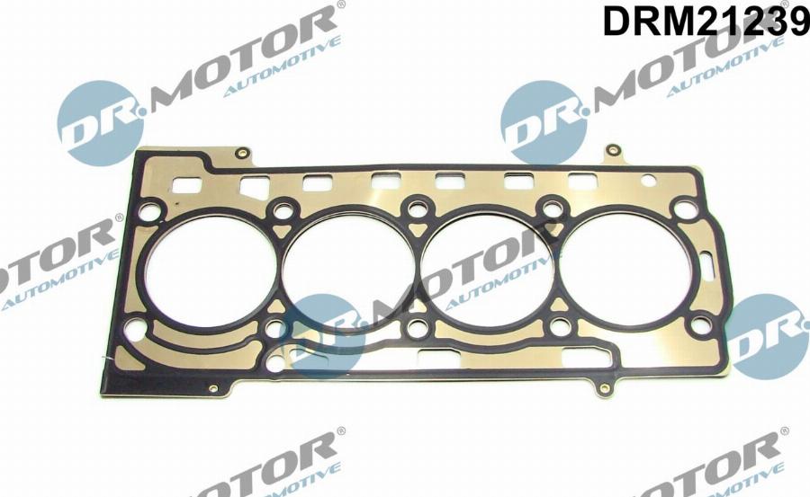 Dr.Motor Automotive DRM21239 - GALVAS