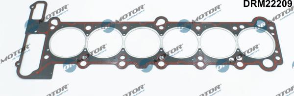 Dr.Motor Automotive DRM22209 - GALVAS