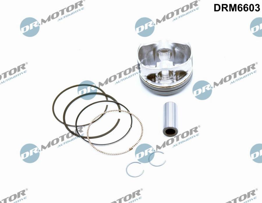 Dr.Motor Automotive DRM6603 - Auto