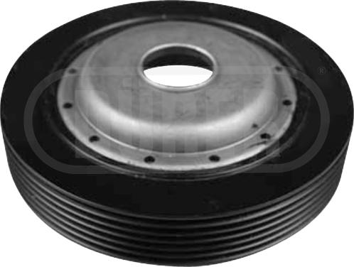 DAYCO DPV1061 - Piedziņas skriemelis, Kloķvārpsta