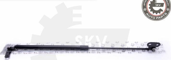 Esen SKV 52SKV677 - BAGĀŽ.VĀKA