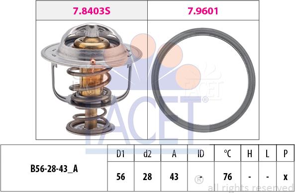 FACET 7.8403