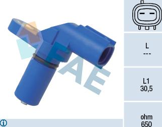 FAE 79255